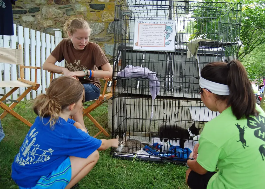 Niñas miran gatitos en una jornada de adopción al aire libre